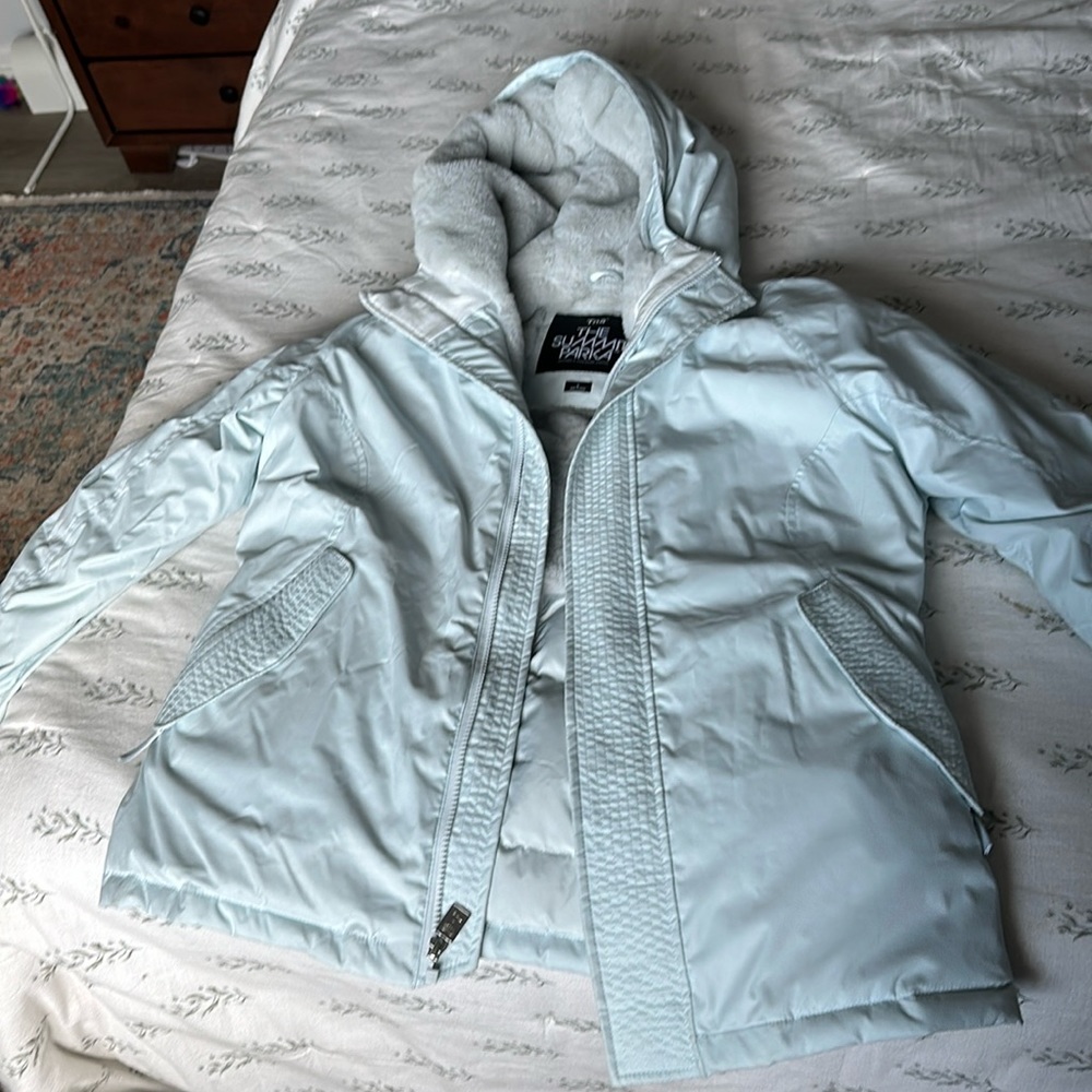 Aritzia TNA Summit Parka